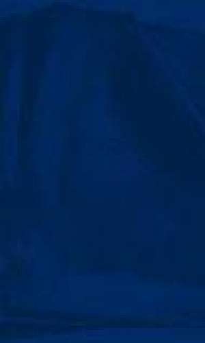 Envelope plástico 4 furos Envelope plástico 4 furos